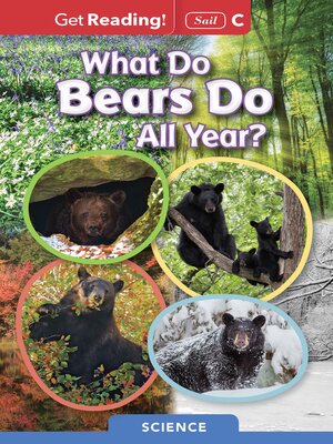 cover image of What Do Bears Do All Year?